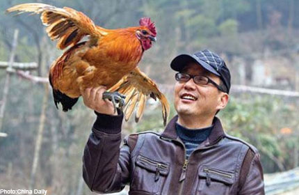 Chickens In China