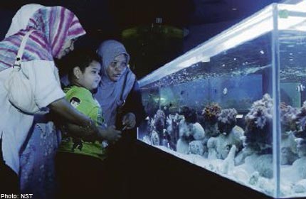 aquarium penang