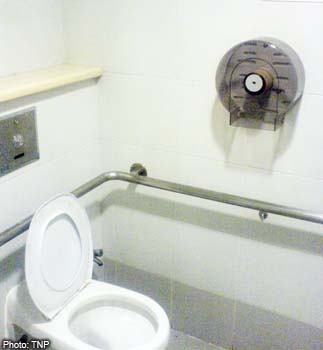 20101229.160430_101229-toilet.jpg