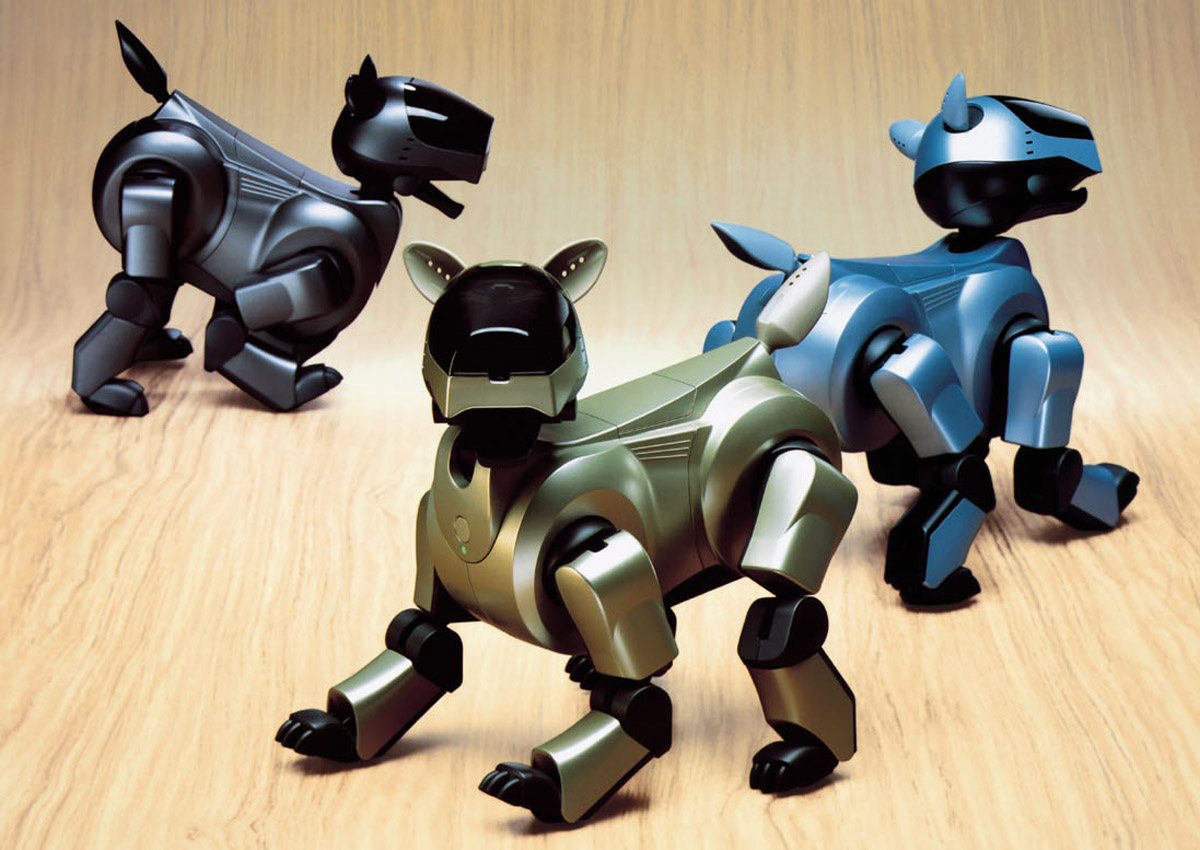 cane robot aibo