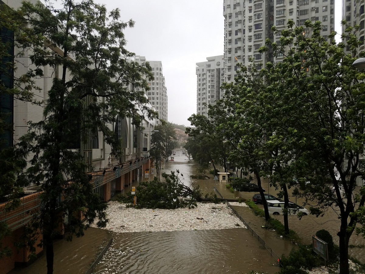 Massive cleanup in Hong Kong after Typhoon Mangkhut brings trail of