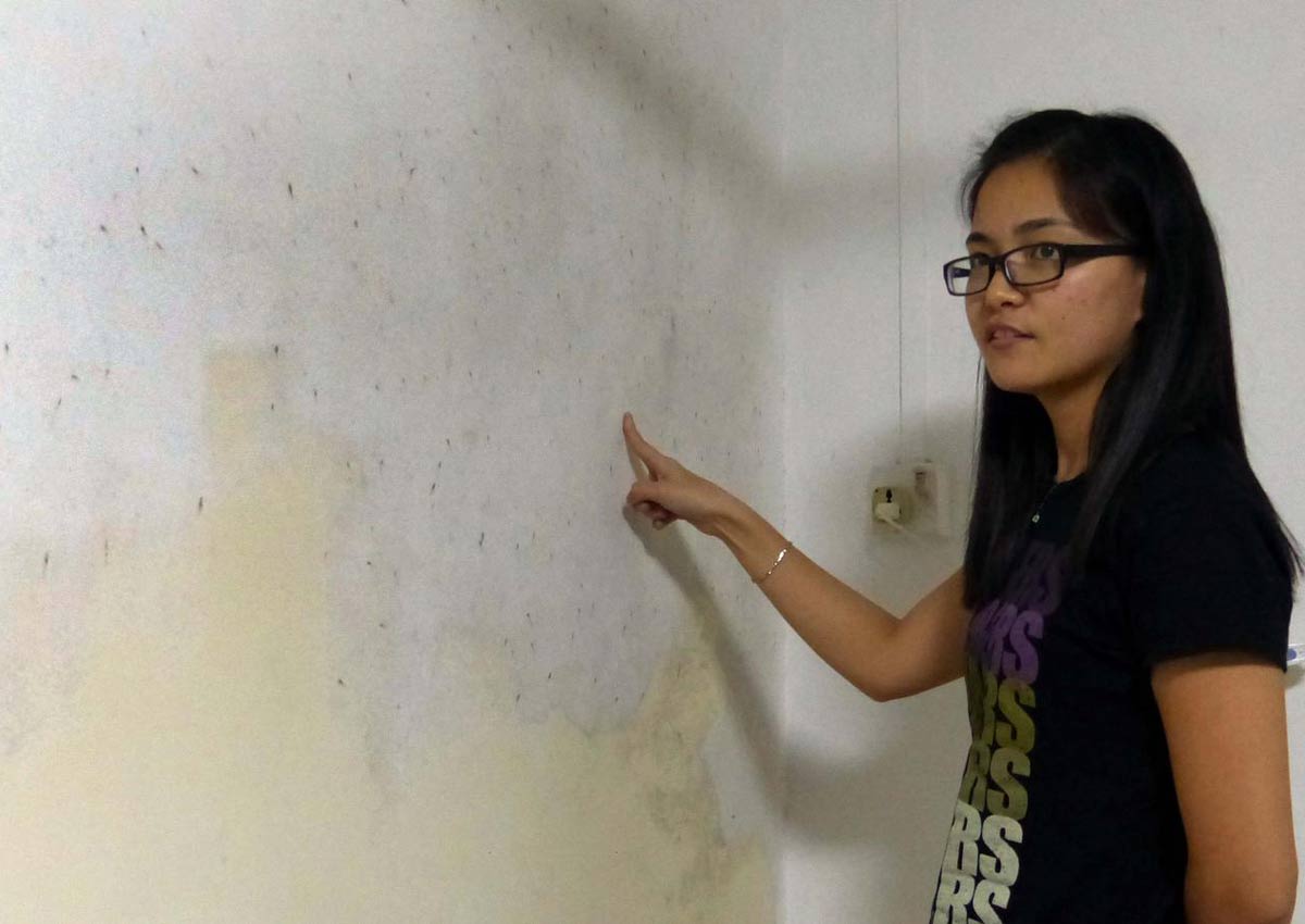 Sisters Kill Bugs Every Night Before Sleeping Singapore News