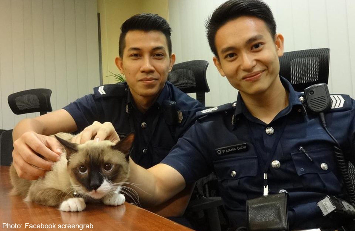 Handsome police officers save cat stuck on tree for 2 days, Singapore