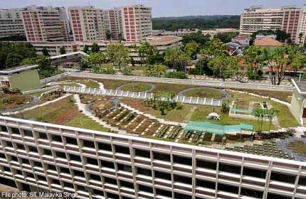 More Hdb Multi Storey Car Parks To House Rooftop Gardens