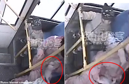 Caught On Camera: Woman Gives Birth On Bus