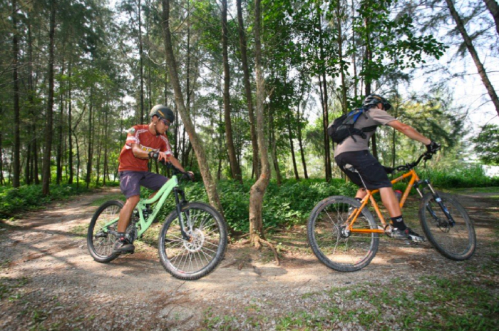 trails near me mtb