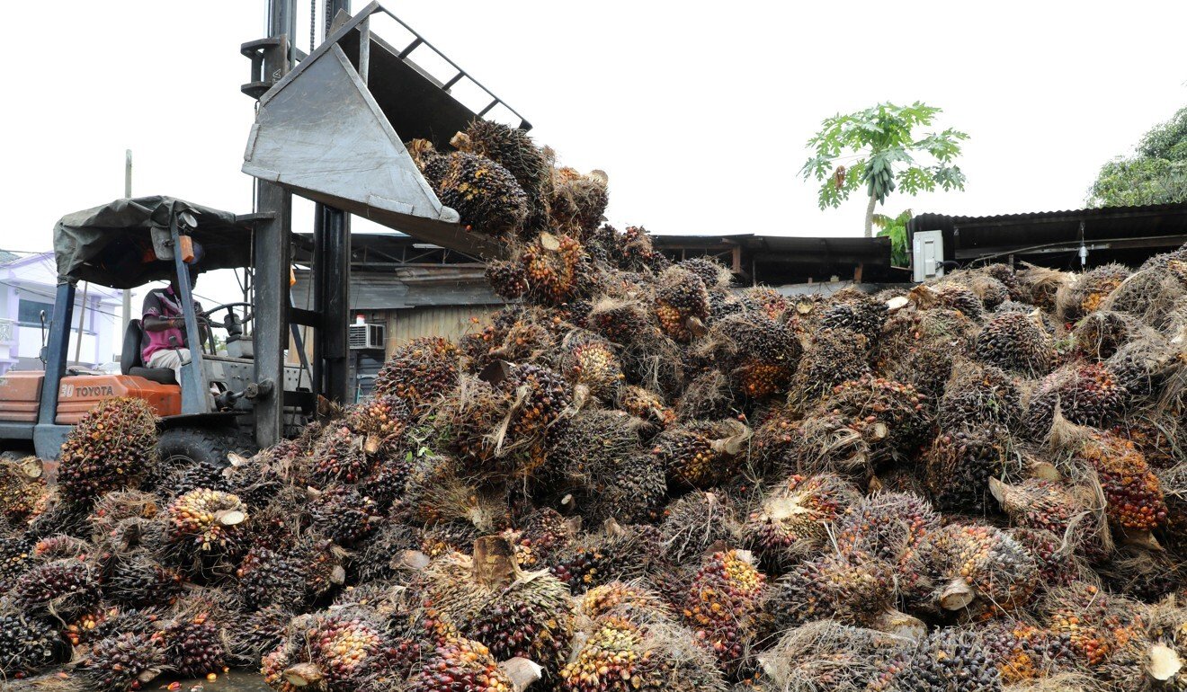 palm oil industry in malaysia 2019