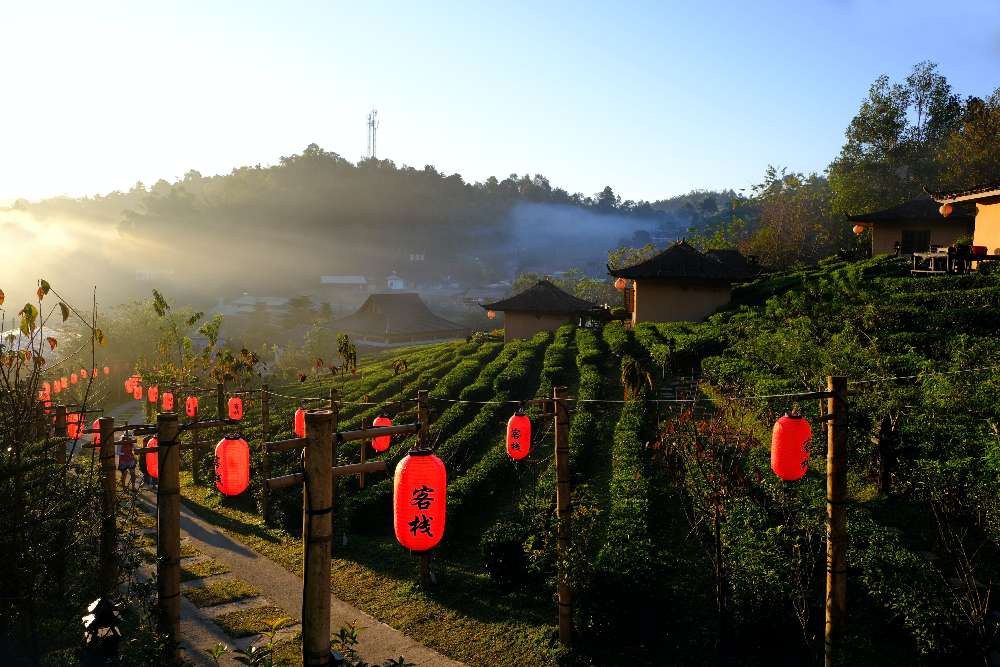 Thailand beyond the beaches: Uncovering hidden gems in the land of ...