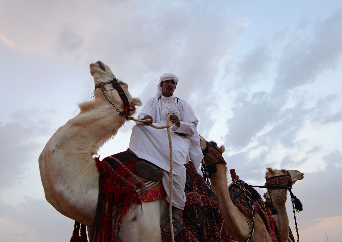 Beauty pageant for camels offers record prize money of ...