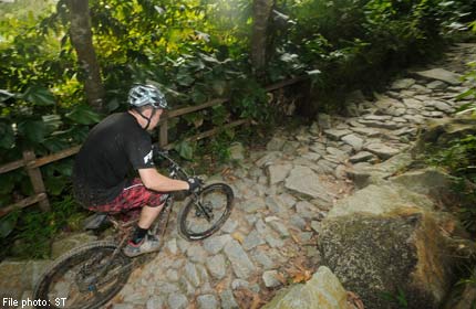 bukit timah mtb trail