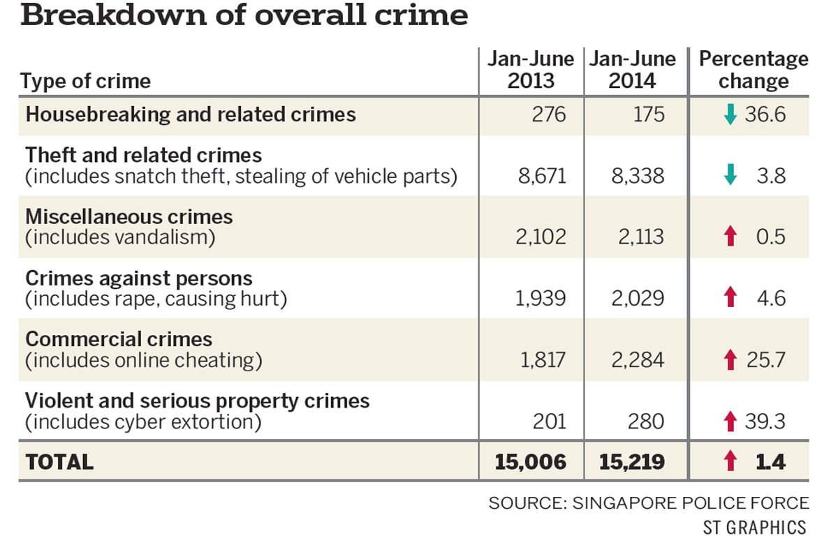 Big Rise In Online Scams Raises Overall Crime Figures, Digital ...