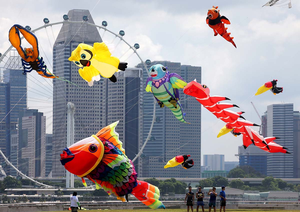 Soaring time with kites, Singapore News AsiaOne