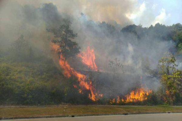 Firefighters battling forest fire northwest of Singapore, Malaysia News ...