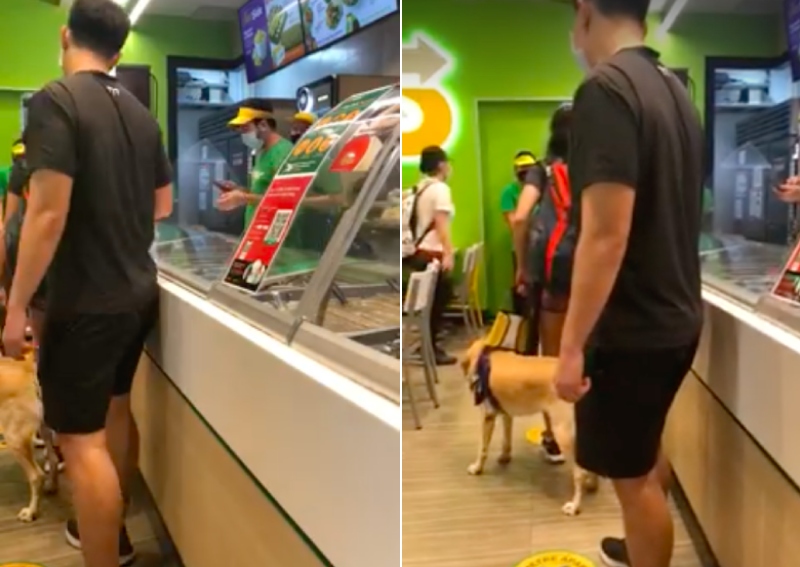 are dogs allowed in malls in singapore