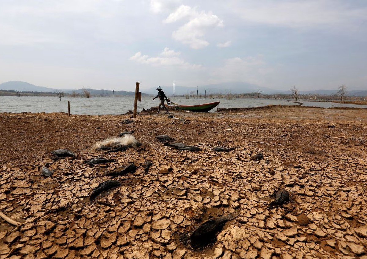 El Nino could doom Indonesia’s rare tropical glaciers by 2026, Asia