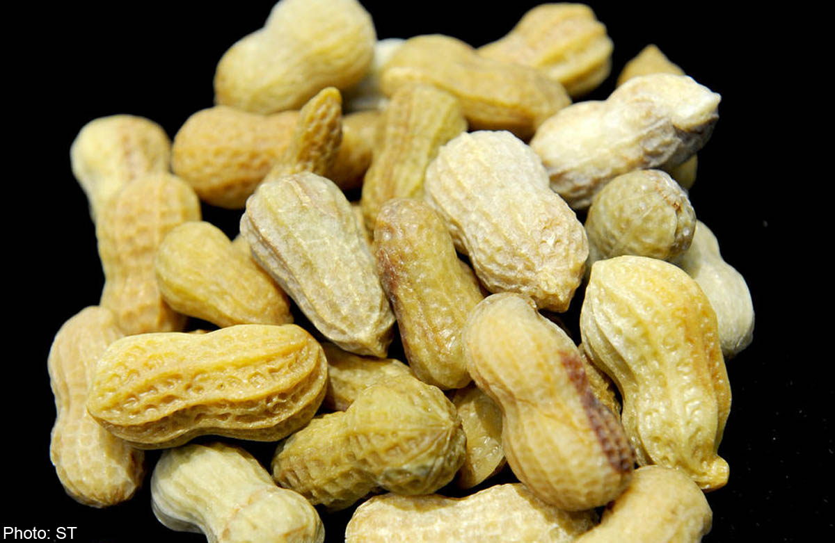 no-need-to-avoid-peanuts-while-pregnant-us-study-women-world-news