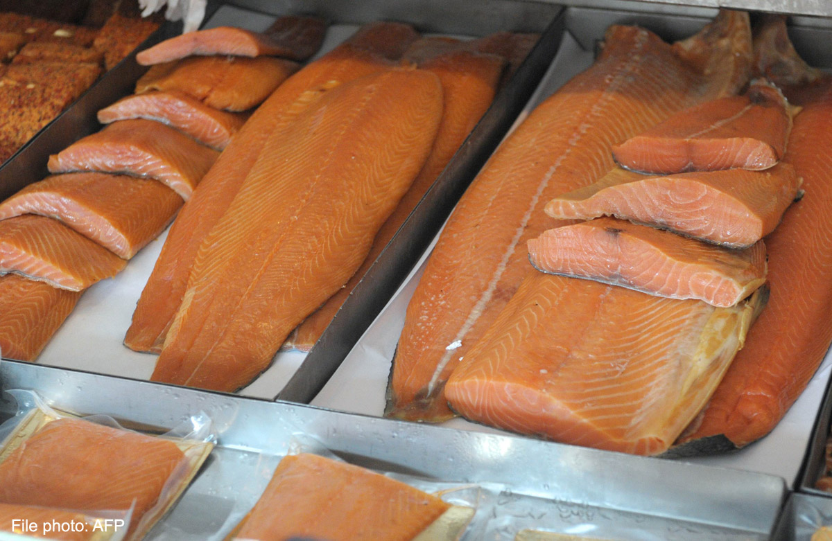 Norway says farmed salmon safe and urges public to eat more, News AsiaOne