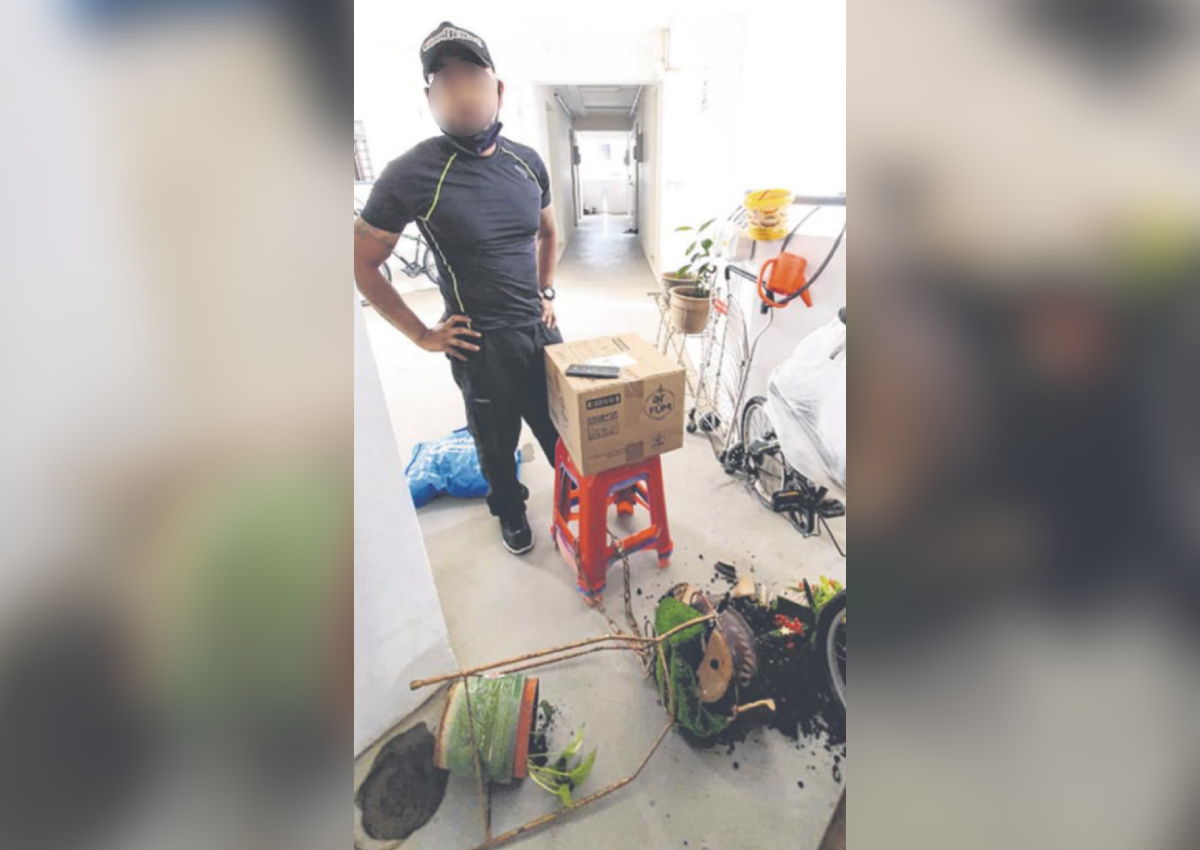 Woman Calls Cops After Ninja Van Deliveryman Breaks Lucky Flower Pot Singapore News Asiaone