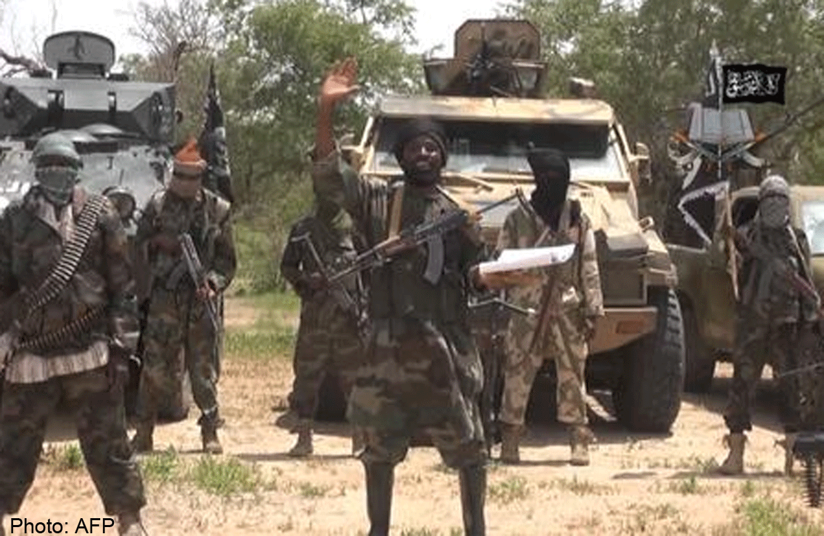 Cameroon army kills 86 Boko Haram militants, World News - AsiaOne