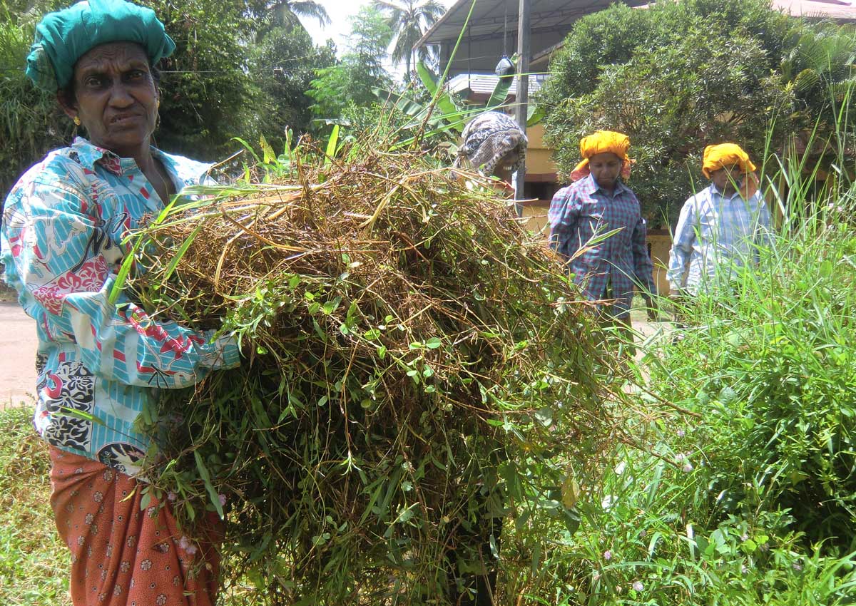 Meet the industrious Indian female farmer, Asia News - AsiaOne