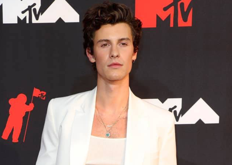 Shawn Mendes Is Determined To Heal After Cancelling Tour Over Mental Health Issues 9278