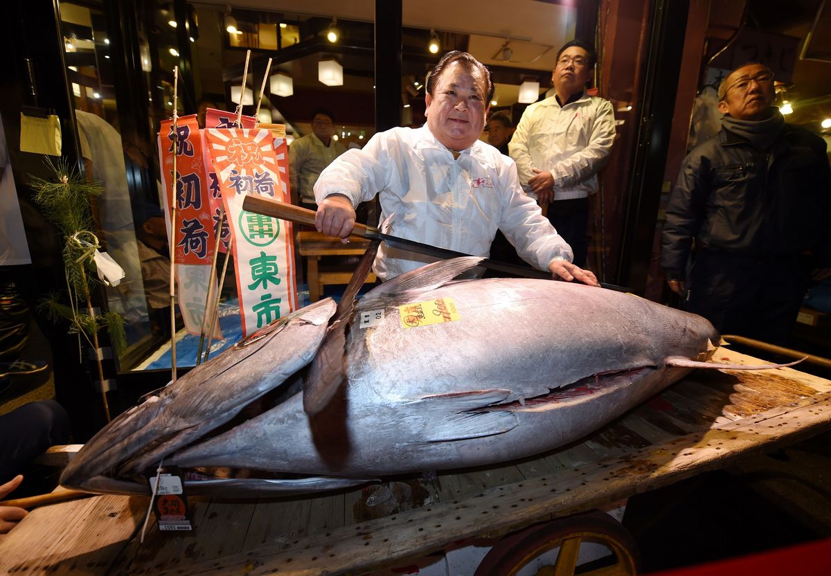 рыбные рынки японии