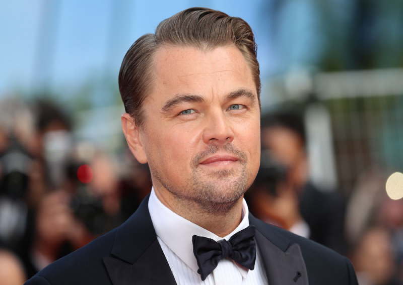 leonardo dicaprio hairstyle inception