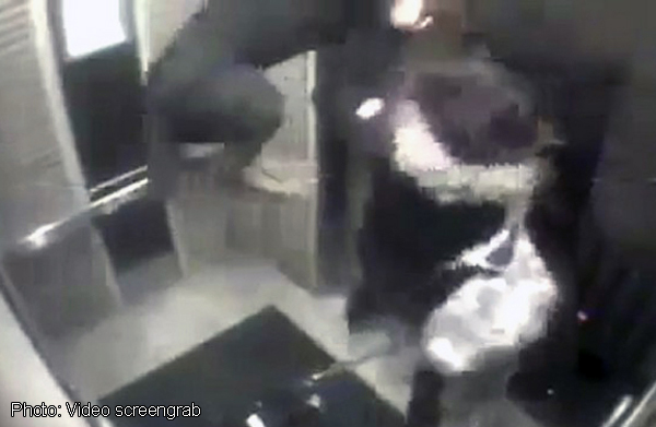 Caught on camera: Dog's leash gets caught between lift doors, World ...