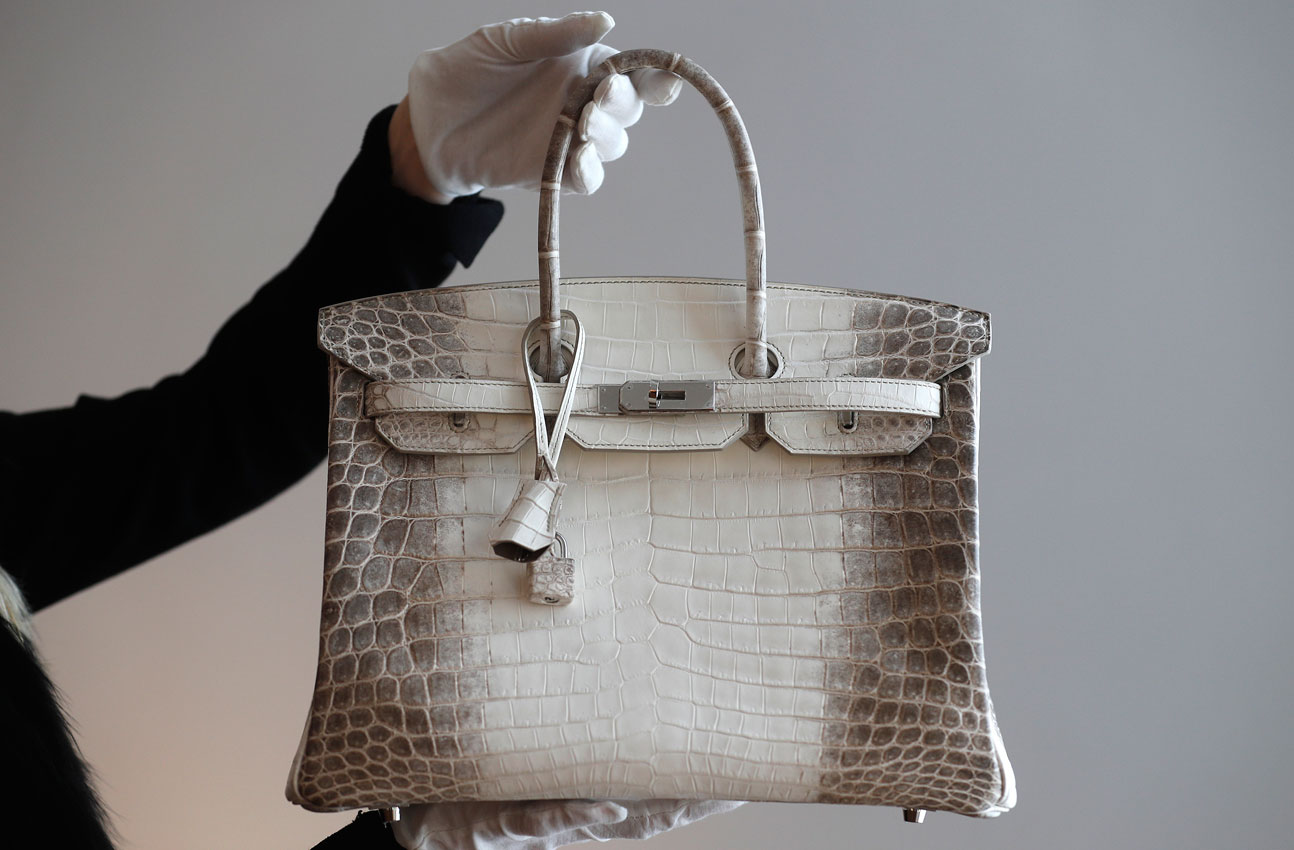 Hermes hit by ostrich farm cruelty claims, World News - AsiaOne