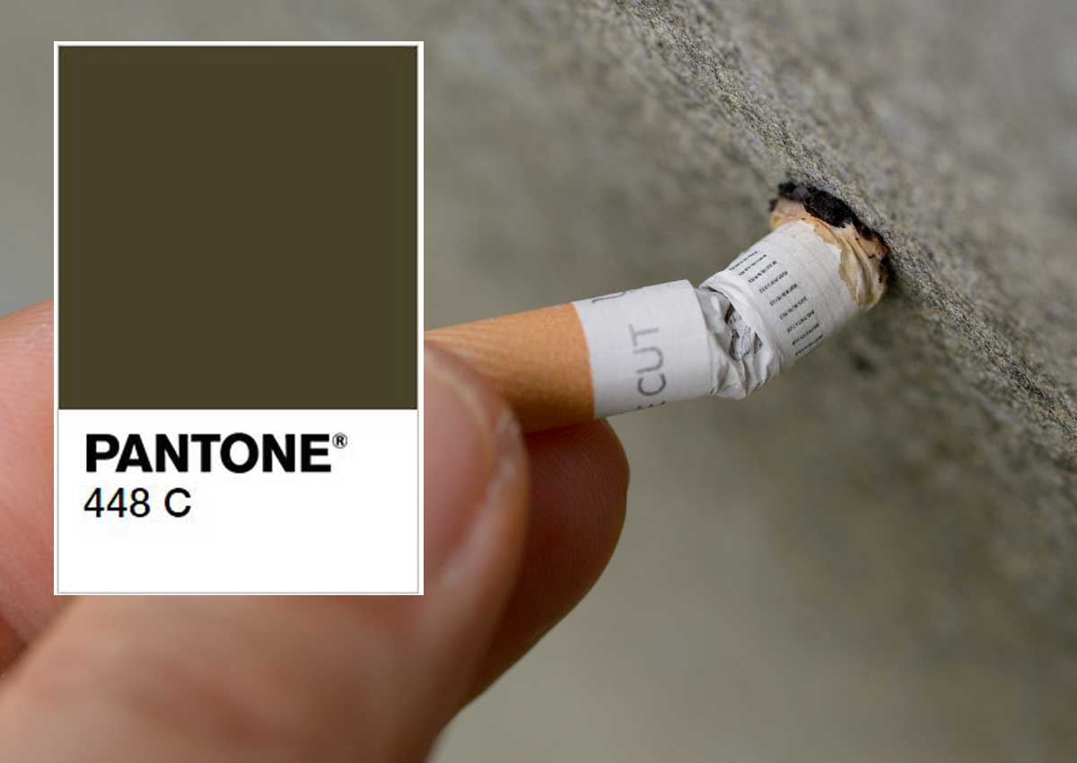 Pantone 448c цвет. Пантон 448с. Pantone 448 c. Пантон 448с цвет. Pantone 448 c цвет глаз.