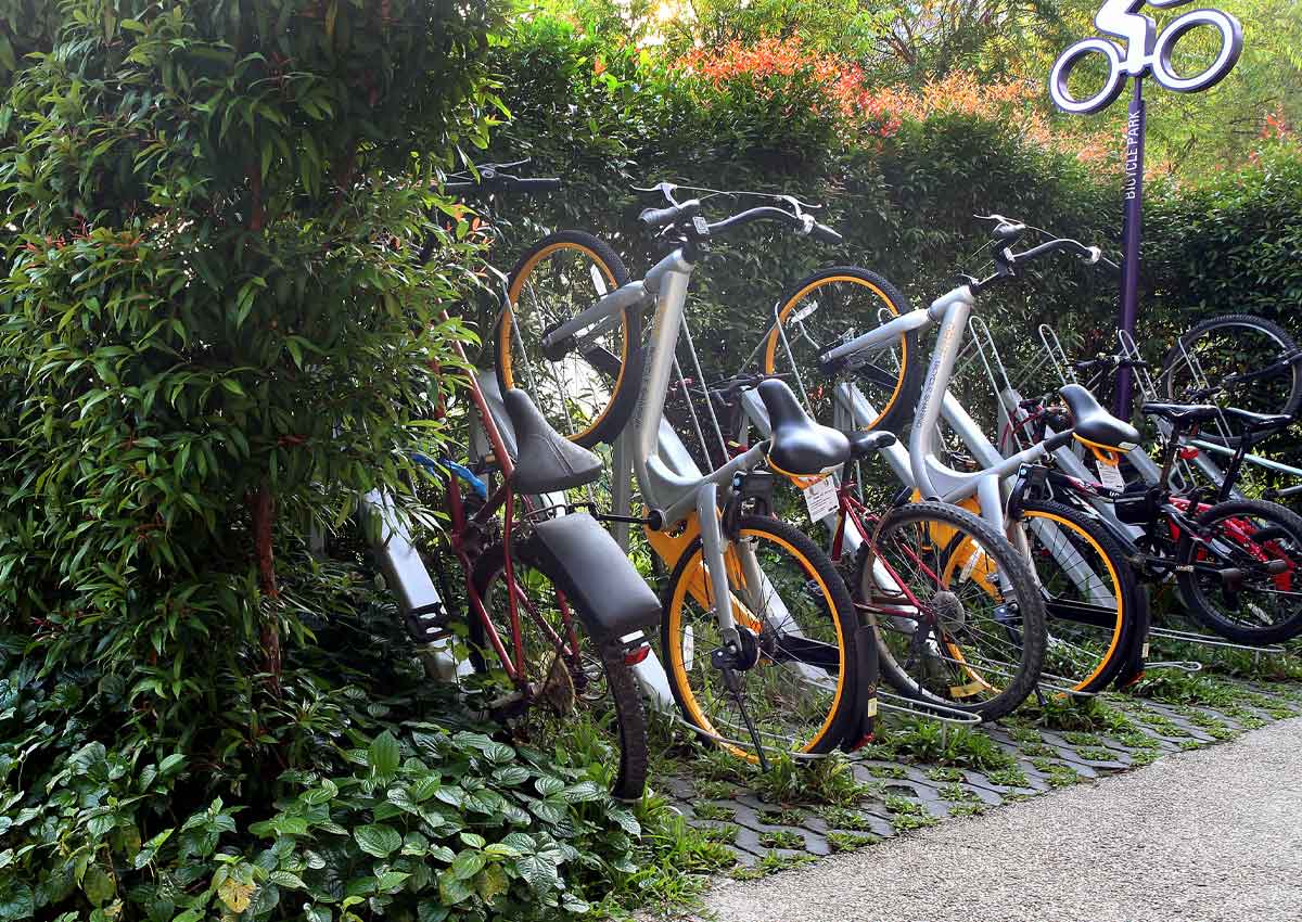 Bike-sharing services put to the test , Singapore News - 20170327 ST Bike