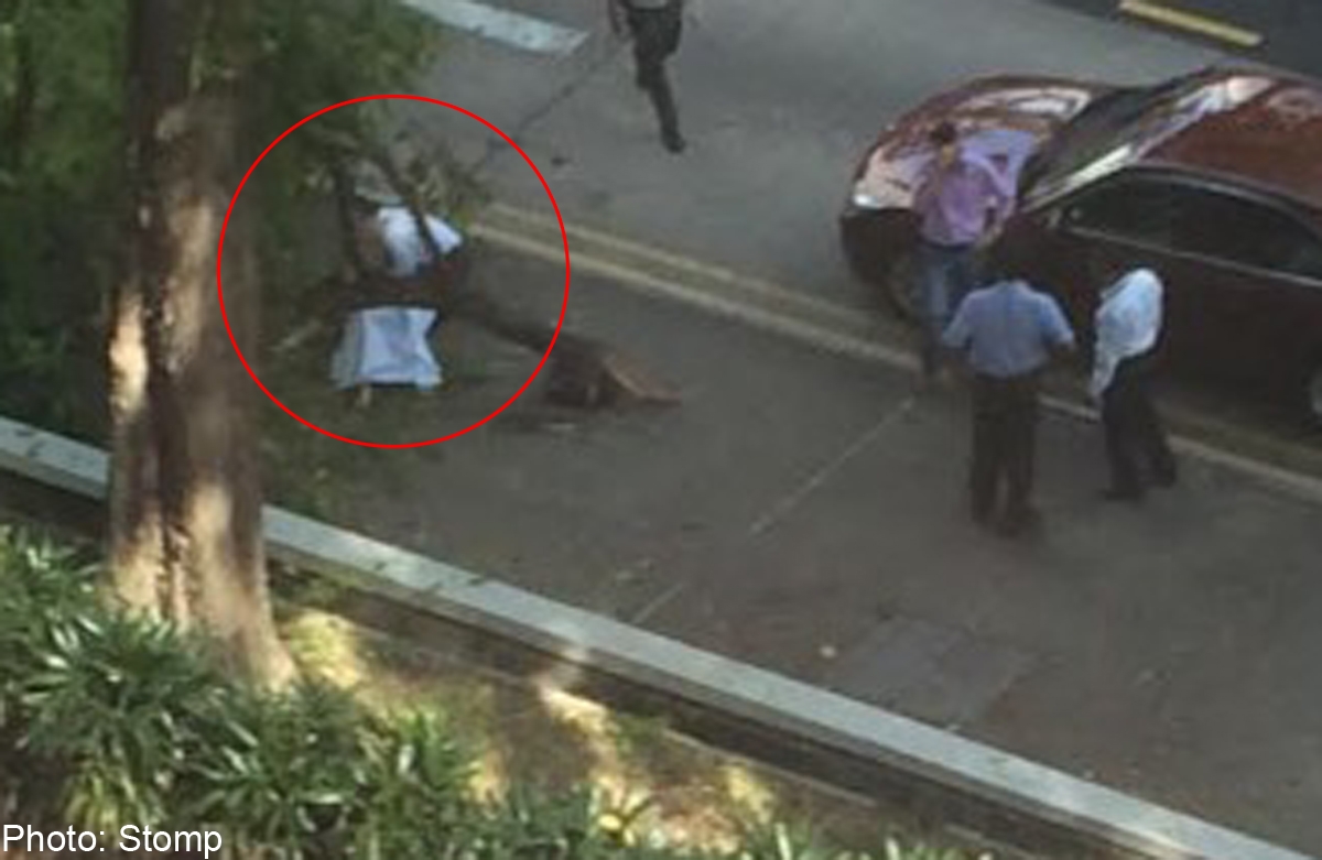 Woman Pinned By Fallen Tree Branch At Bendemeer Road Singapore News