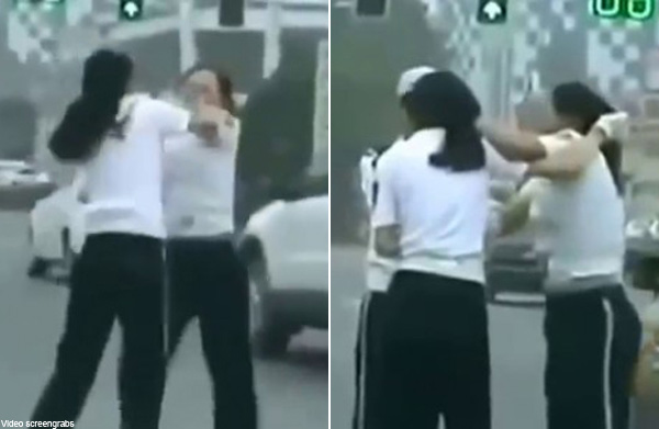 Chinese Catfight