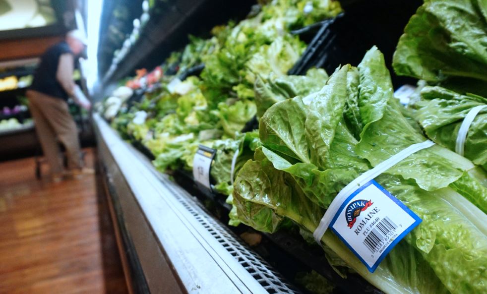 First US death in romaine lettuce E.coli outbreak, Health, World News