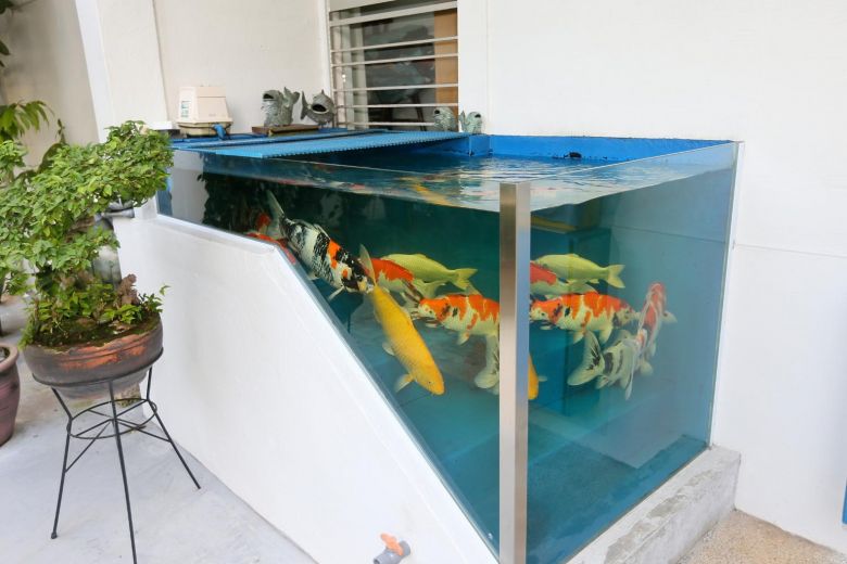 HDB rejects owner's appeal to keep unusual koi fish tank outside