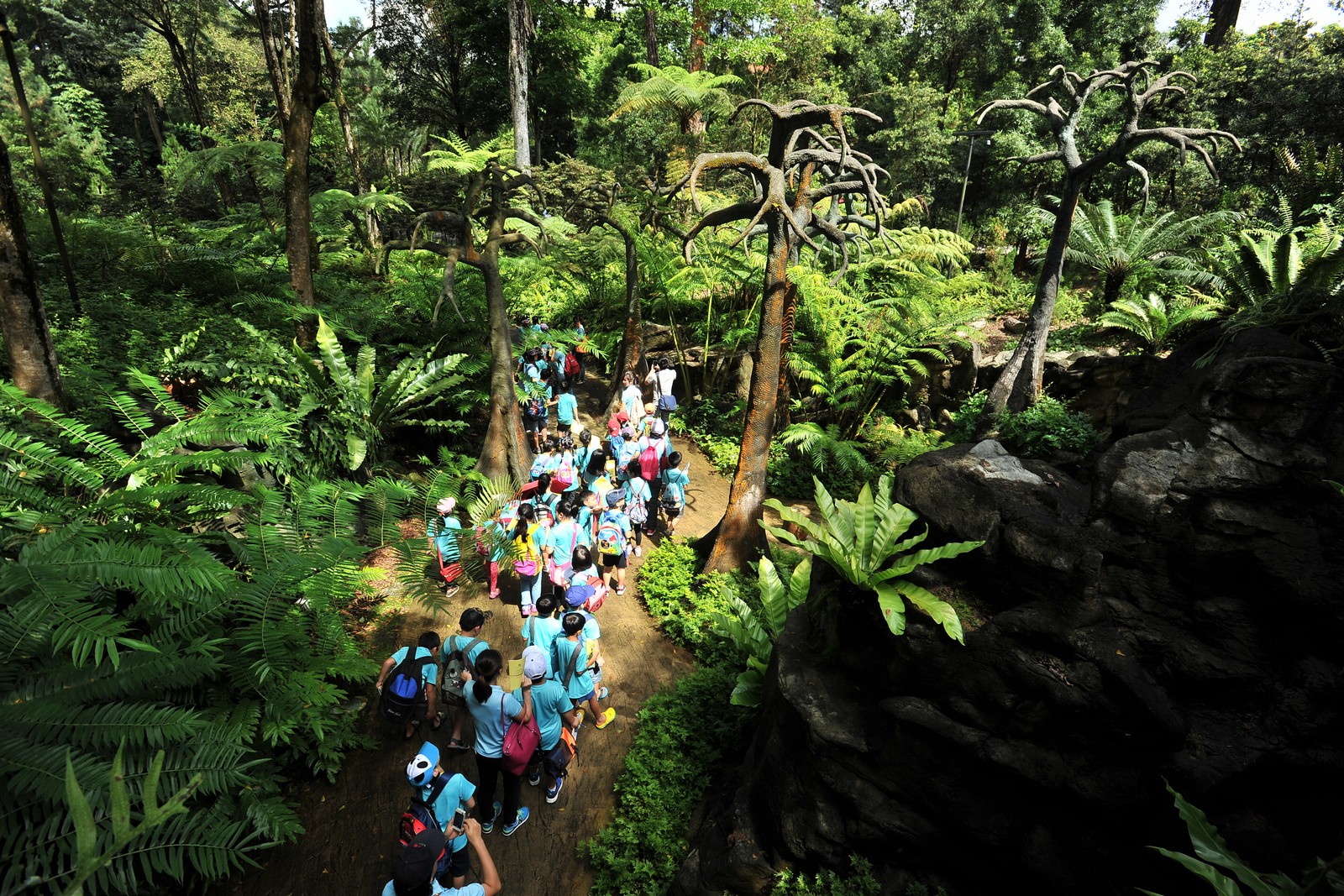  Botanic  Gardens Unesco  bid in final stage Singapore  News 