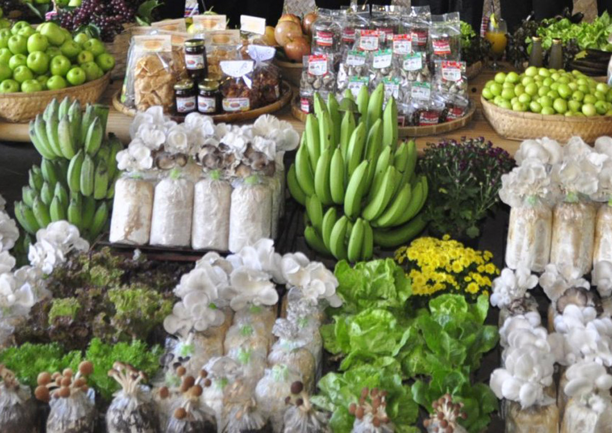 Popular fruits and vegetables sold in Thailand test positive for toxins