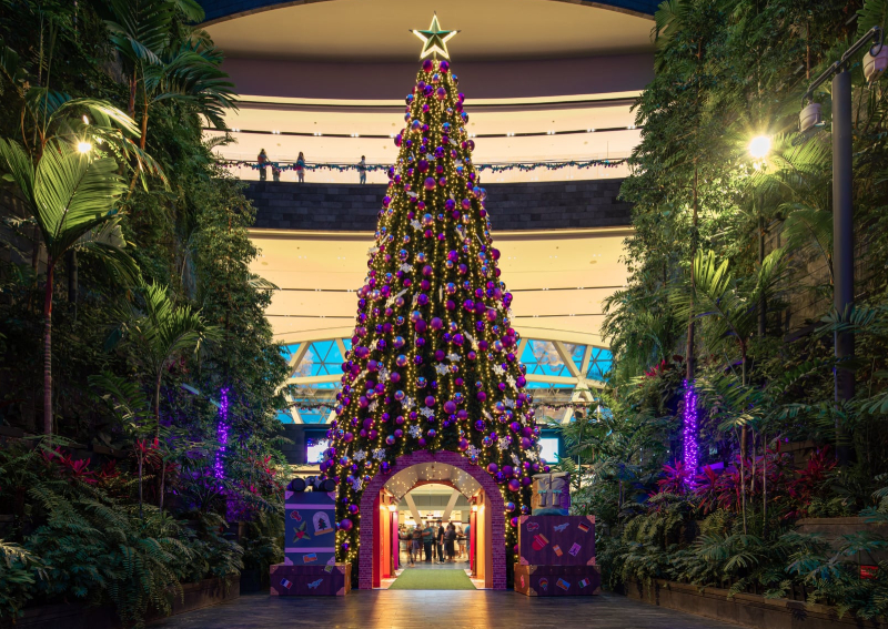 7 metre icicle lights