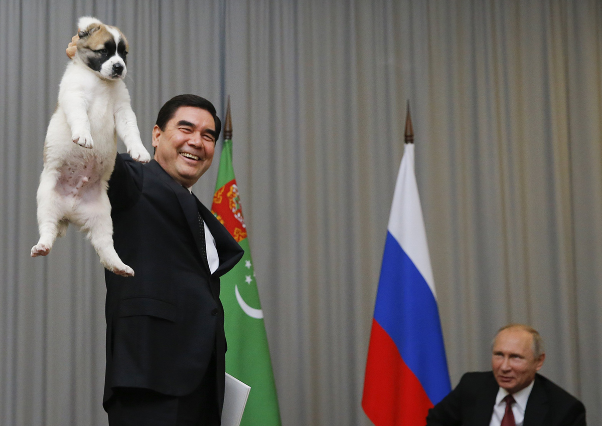 WATCH: Dog lover Putin gets Turkmenistan's top breed pup as birthday