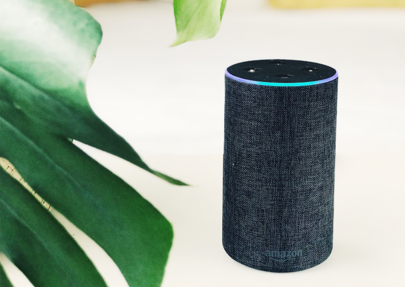 amazon echo vulnerabilities