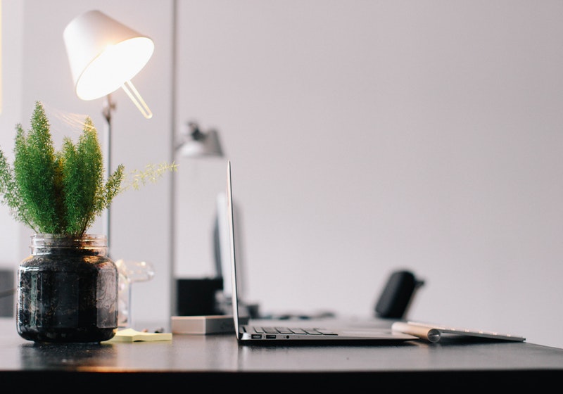 8 Low Maintenance Plants For A Stylish Work Desk Lifestyle News