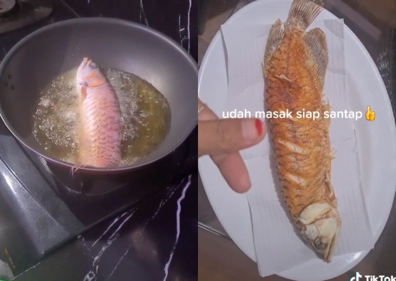 fried arowana