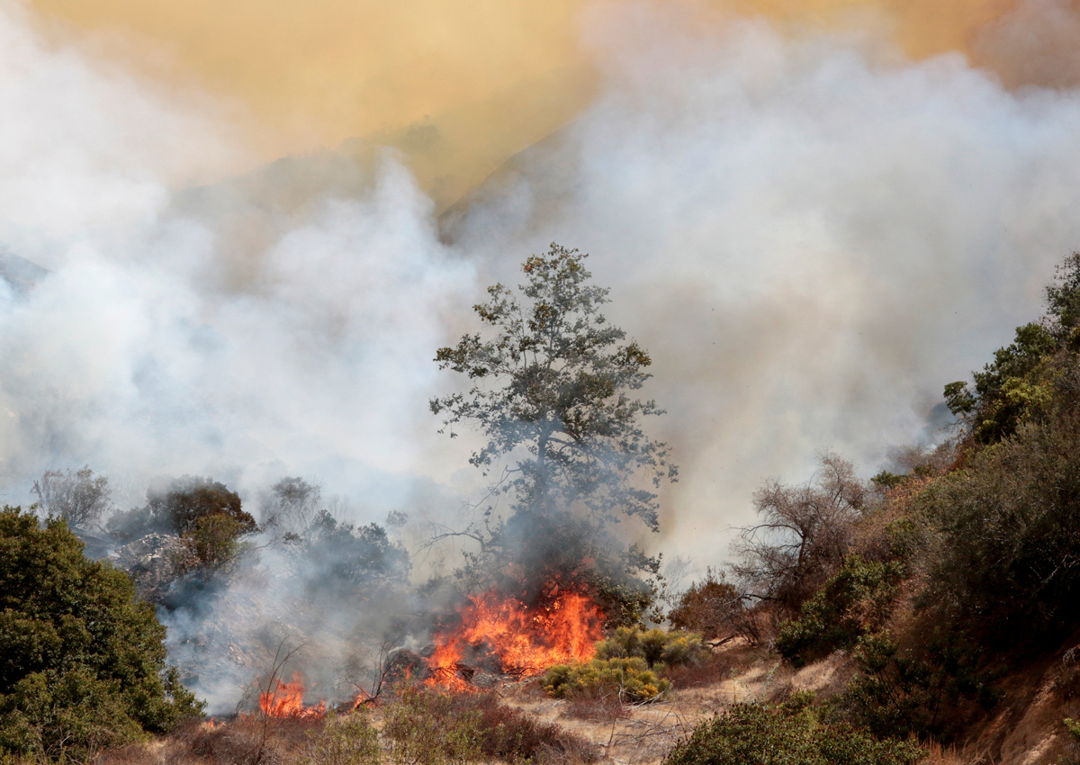 Los Angeles Turns Corner On Largest Wildfire In City History World News Asiaone 4850