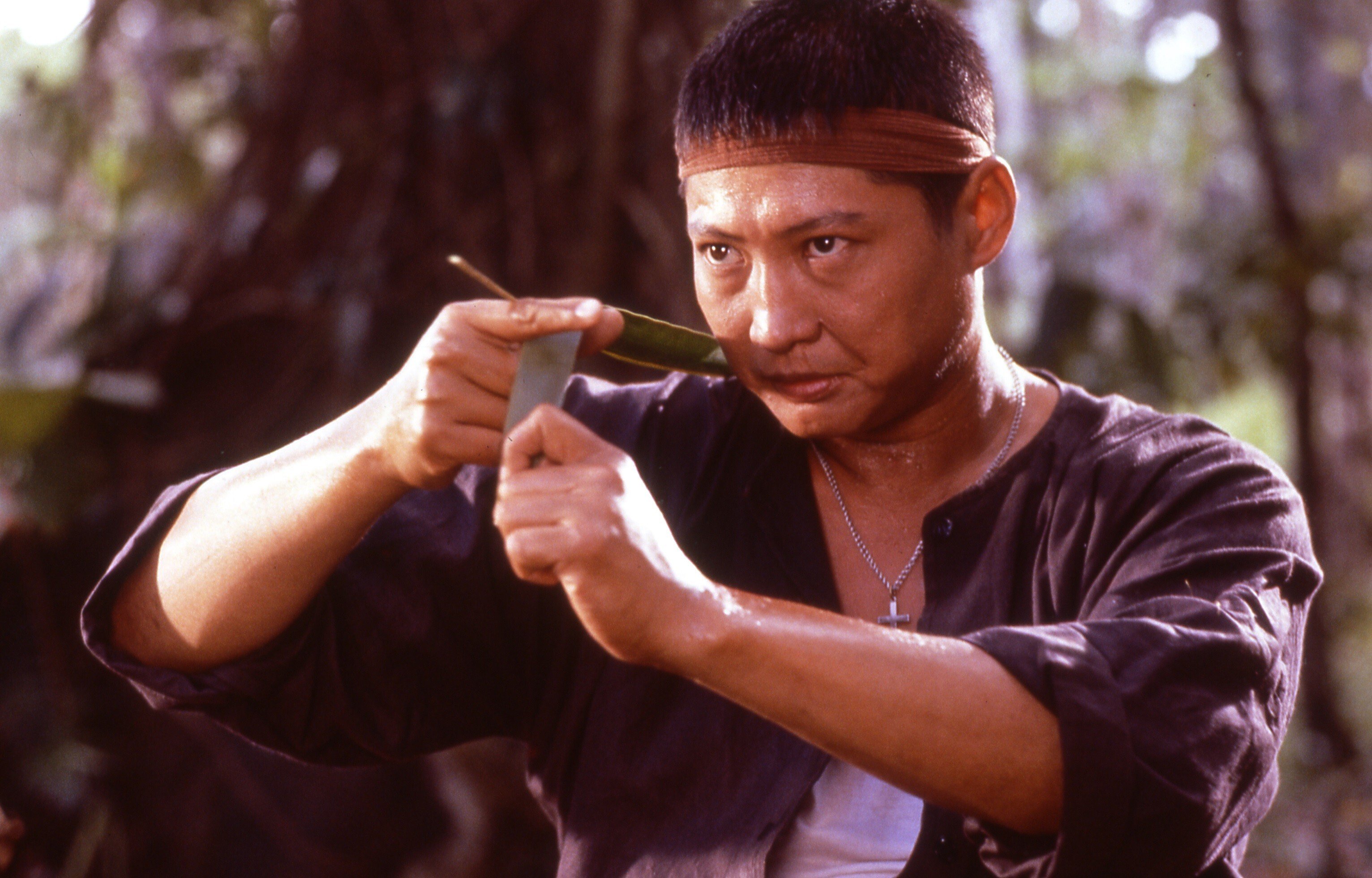 Sammo Hung's 10 best films ranked, from Pedicab Driver to