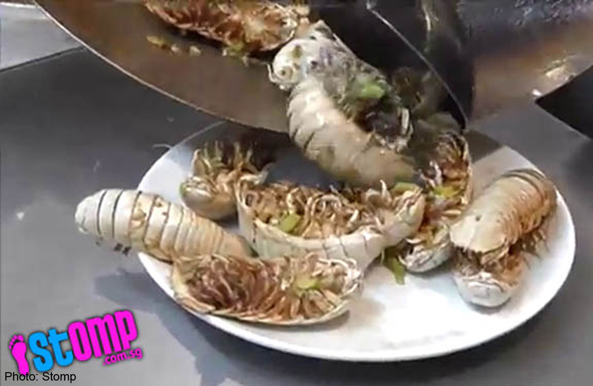 Would you eat wokfried deep sea isopods?, Food News AsiaOne