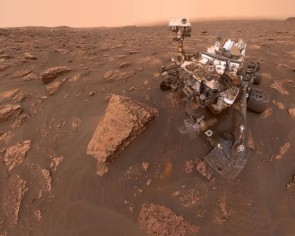 Chinese scientists identify super moss able to &#039;survive&#039; on Mars