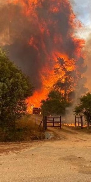 &#039;Like being in hell&#039;: Chile mourns as wildfire death toll hits 112