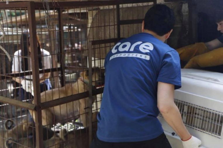 Top South Korean animal rights group slammed for secretly exterminating