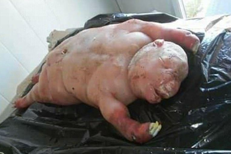 'Half-human' lamb in South Africa terrifies both locals and the