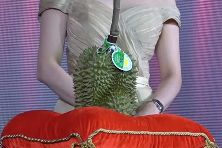 durian toy